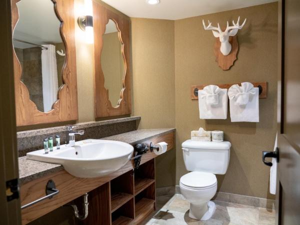 Banff Caribou Lodge and Spa : photo 6 de la chambre chambre lit king-size supérieure