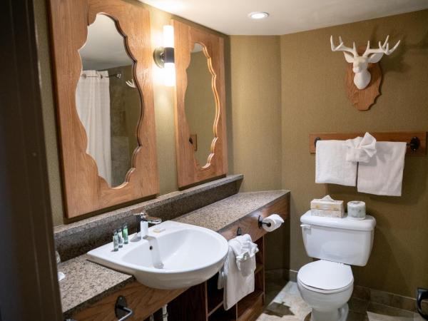 Banff Caribou Lodge and Spa : photo 6 de la chambre chambre supérieure