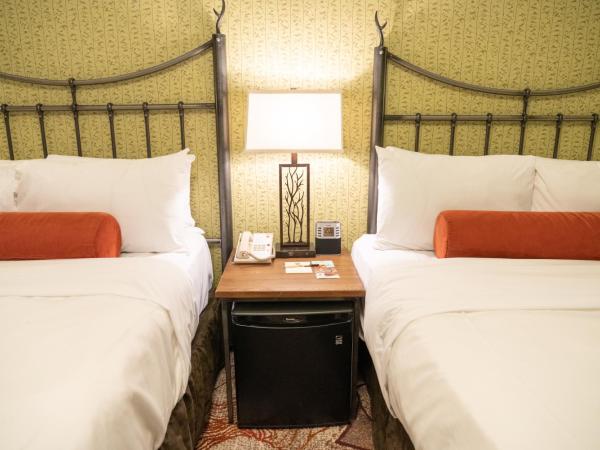 Banff Caribou Lodge and Spa : photo 3 de la chambre chambre double standard