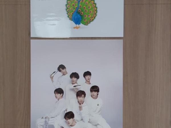 Birdsnest Hostel Hongdae Foreigner only : photo 9 de la chambre lit dans dortoir pour femmes de 4 lits