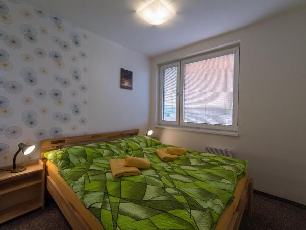 Penzion TOP : photo 4 de la chambre appartement 2 chambres