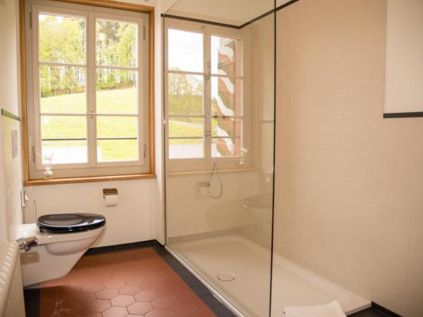 Hotel Restaurant Falkenburg : photo 8 de la chambre chambre double – vue sur lac