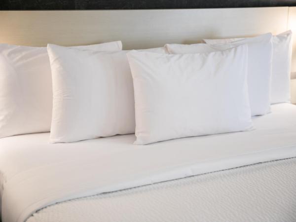 Days Inn by Wyndham Vancouver Airport : photo 4 de la chambre chambre lit king-size standard