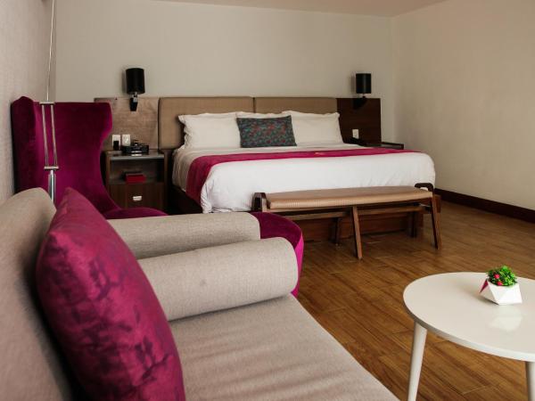 FCH Hotel Expo Adults only : photo 1 de la chambre suite présidentielle