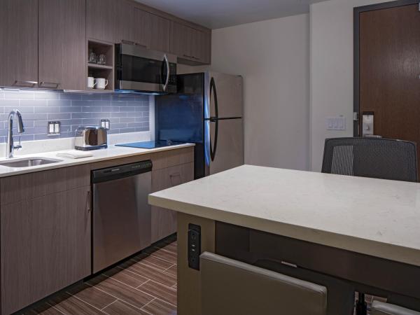 Hyatt House Indianapolis Downtown : photo 3 de la chambre suite 1 chambre lit king-size avec canapé-lit et cuisine