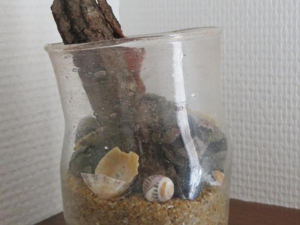 Hôtel Les Embruns Sables d'Olonne : photo 3 de la chambre chambre double standard