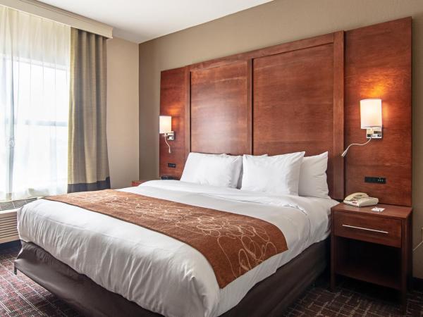 Comfort Suites NW Dallas Near Love Field : photo 4 de la chambre suite lit king-size - accessible aux personnes à mobilité réduite - non-fumeurs