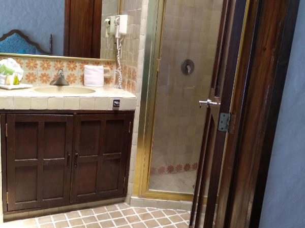 Hotel Posada Quinta Las Flores : photo 10 de la chambre suite double junior