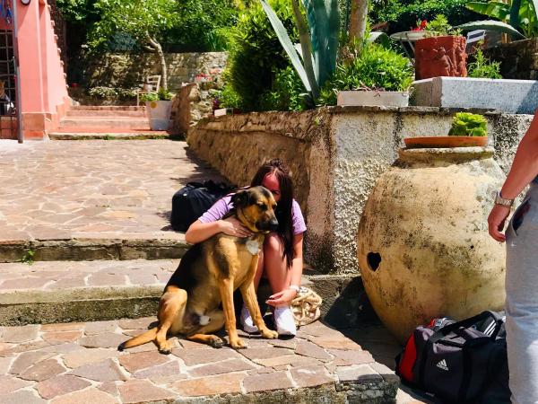 B.E.A. Maison : photo 10 de la chambre chambre lit king-size deluxe