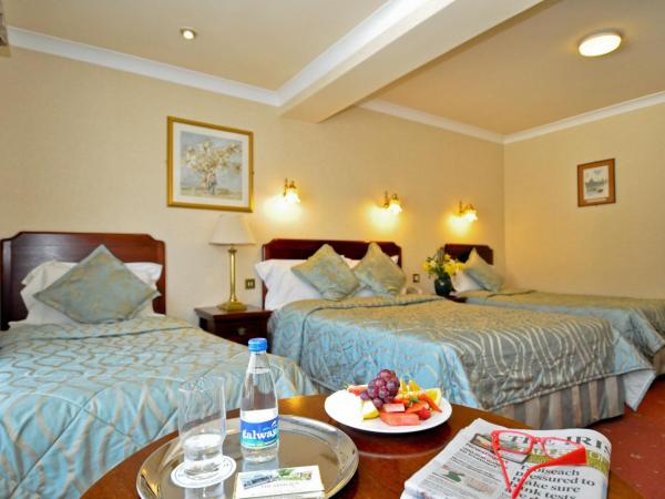 The Ardilaun Hotel : photo 4 de la chambre chambre familiale