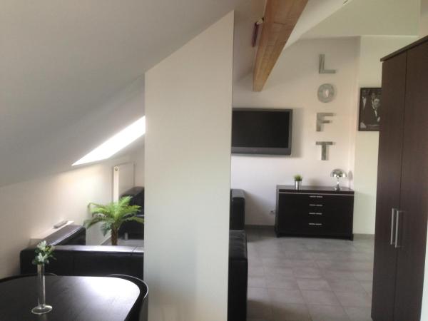 Résidence Le Patricia : photo 8 de la chambre loft (4 adultes)