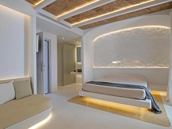 Andronikos Hotel : photo 4 de la chambre superior room / pool view jacuzzi