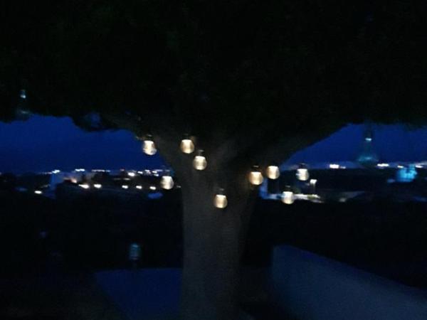 Villa Koronios : photo 8 de la chambre chambre double ou lits jumeaux standard