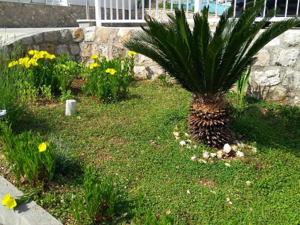 Guest House Eight Roses : photo 6 de la chambre chambre double ou lits jumeaux