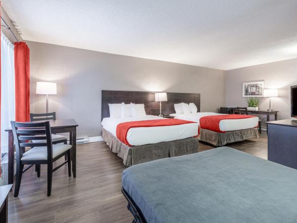 Hotel Universel : photo 2 de la chambre chambre de luxe avec 2 lits queen-size.