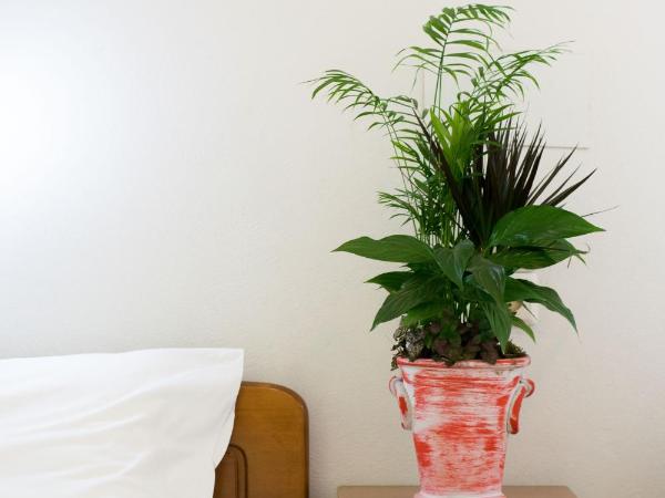 Greta Apartments : photo 7 de la chambre studio - vue latérale sur mer (2 adultes)