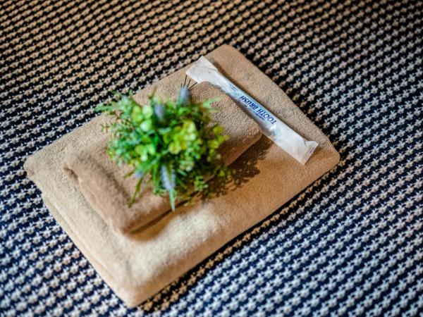 IKIDANE Residential Hotel Komagome : photo 4 de la chambre chambre triple