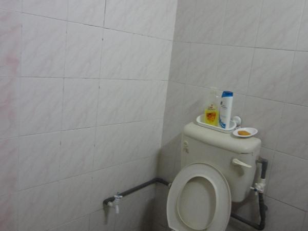 Happy Owl : photo 3 de la chambre chambre familiale (4 adultes)