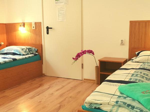 Pension Haus Baron 1 Neckarau : photo 5 de la chambre chambre double Économique