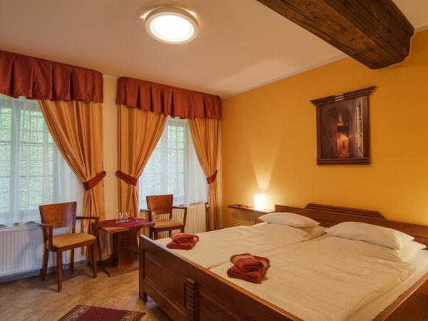 Pension Pod Radnicí : photo 1 de la chambre chambre double