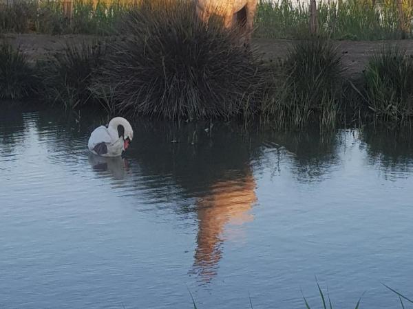 Mas des Cabidoules : photo 10 de la chambre chambre double deluxe