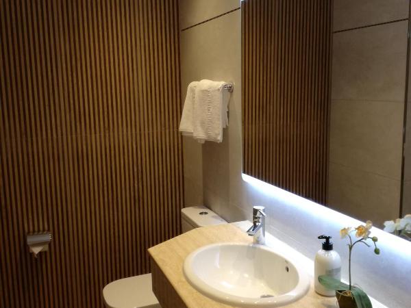 Hotel Boutique Astorga : photo 9 de la chambre appartement deluxe