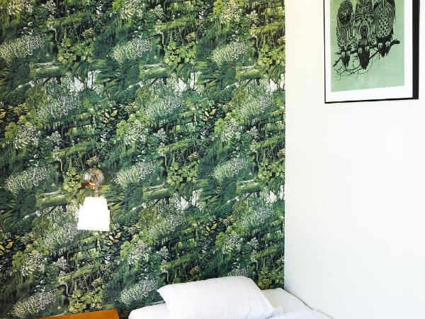 Hotel Finn : photo 6 de la chambre chambre simple standard