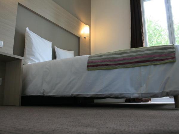 Hotel Restaurant L Echo du Lac : photo 9 de la chambre suite confort