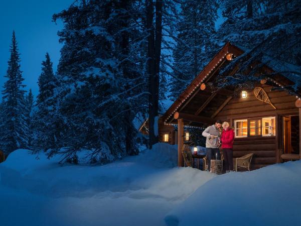 Storm Mountain Lodge & Cabins : photo 4 de la chambre chalet