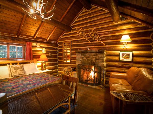 Storm Mountain Lodge & Cabins : photo 5 de la chambre chalet