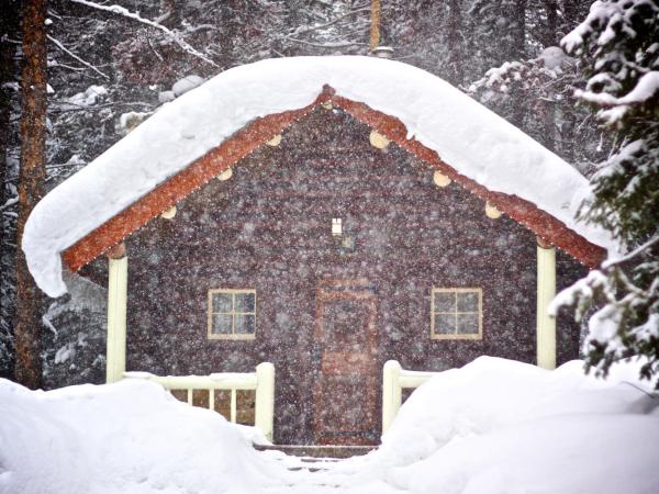 Storm Mountain Lodge & Cabins : photo 6 de la chambre chalet