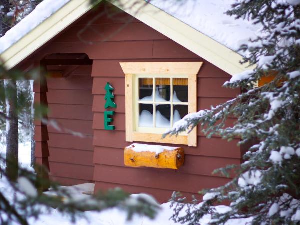 Storm Mountain Lodge & Cabins : photo 2 de la chambre chambre double