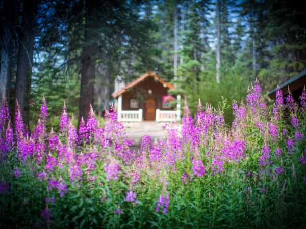 Storm Mountain Lodge & Cabins : photo 6 de la chambre chalet 1 chambre
