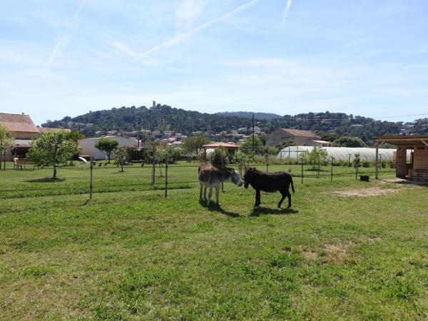 Gîte du Pagoulin - Chambres d'hôtes : photo 10 de la chambre chambre double ou lits jumeaux avec salle de bains privative