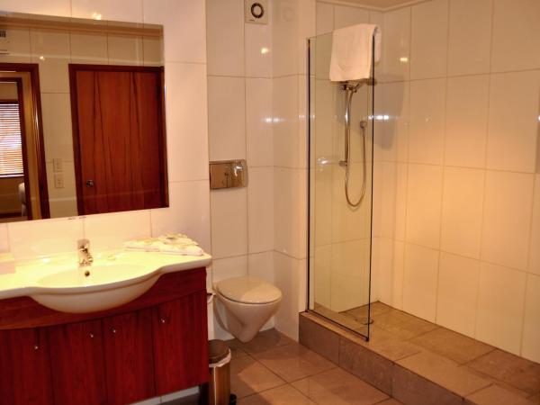 St James Apartments : photo 9 de la chambre appartement exécutif 1 chambre