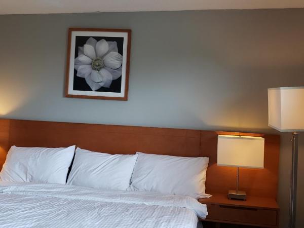 Niagara Inn : photo 4 de la chambre chambre lit king-size
