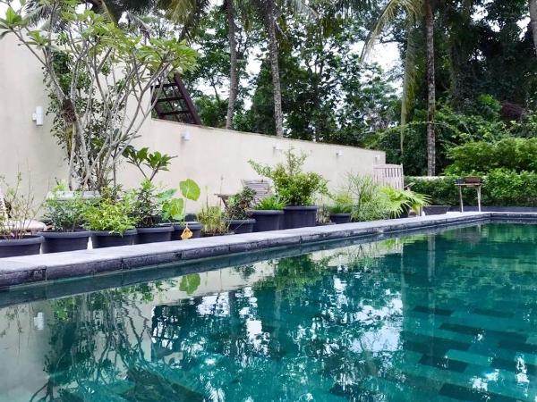 Omah SunFlower : photo 2 de la chambre suite - vue sur piscine
