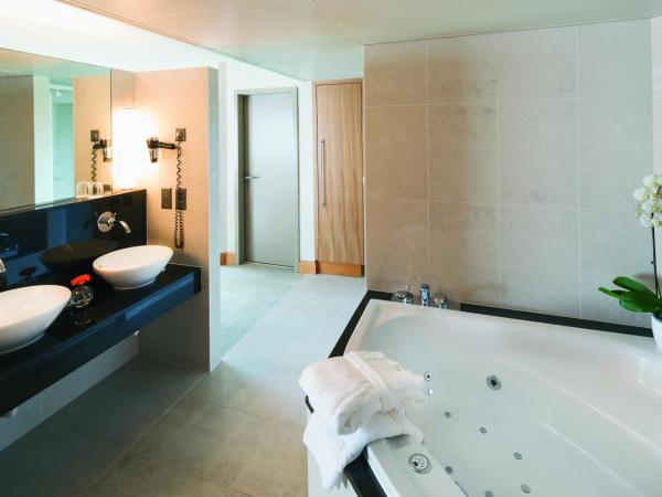 Mvenpick Hotel Lausanne : photo 10 de la chambre suite lit king-size en duplex ? vue sur lac