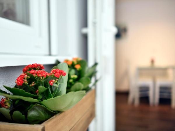 Hostel Temza : photo 2 de la chambre chambre double avec salle de bains privative