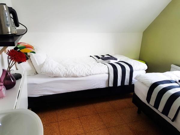 Refurinn Reykjavik Guesthouse : photo 4 de la chambre chambre lits jumeaux