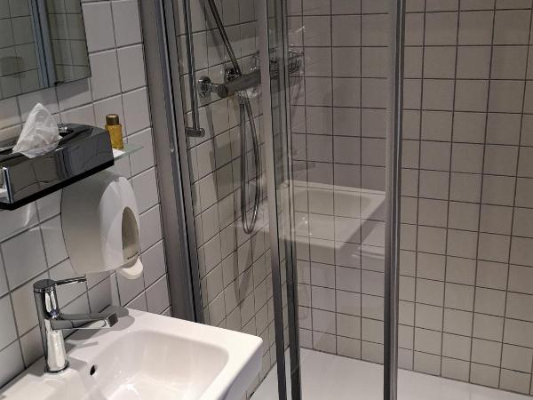 Hôtel du Raisin : photo 8 de la chambre chambre lits jumeaux spacieuse