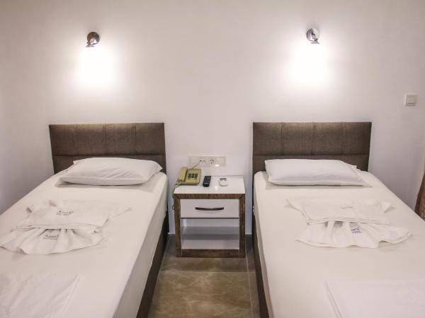 Aysev Hotel : photo 5 de la chambre chambre lits jumeaux