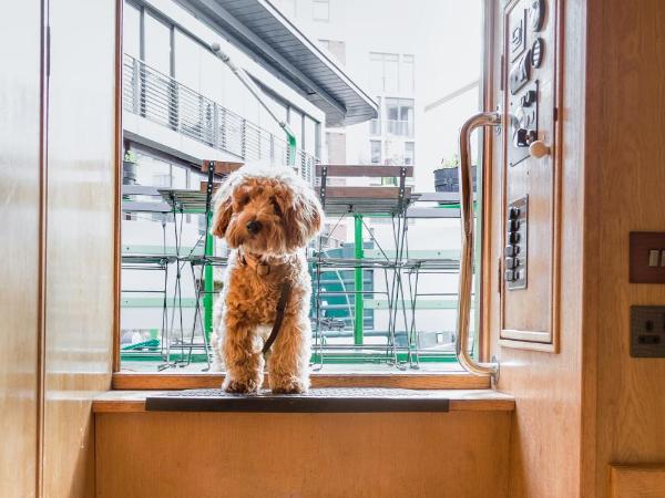 The Four Sisters Boatels - Houseboats : photo 10 de la chambre péniche de luxe