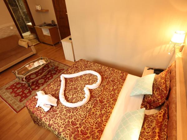 Hotel Tashkonak Istanbul : photo 7 de la chambre suite 3 chambres