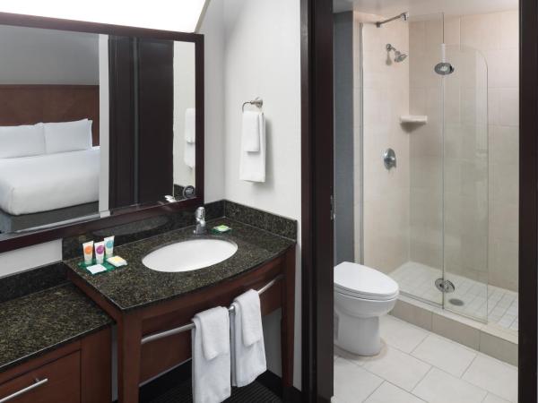 Hyatt Place Jacksonville Airport : photo 8 de la chambre chambre lit king-size avec canapé-lit - Étage supérieur