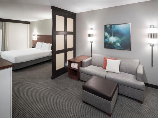 Hyatt Place Jacksonville Airport : photo 8 de la chambre chambre lit king-size avec canapé-lit et douche accessible en fauteuil roulant - accessible aux personnes à mobilité réduite