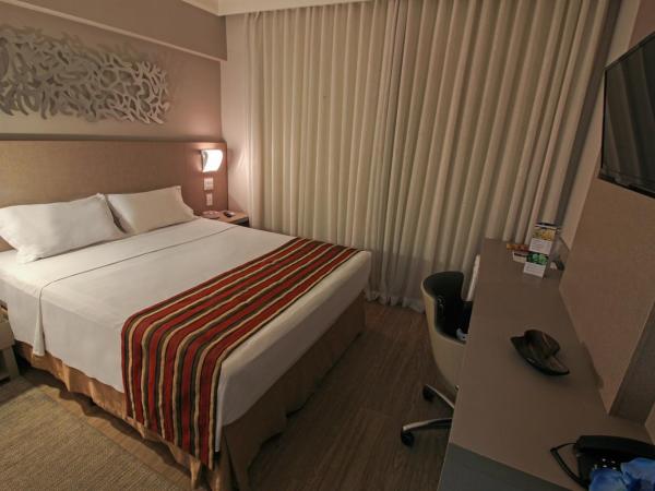 Hotel Beaga Convention Expominas by MHB : photo 1 de la chambre chambre double de luxe avec lit double