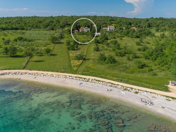 Apartments Saladinka : photo 8 de la chambre appartement 1 chambre