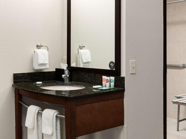 Hyatt Place Jacksonville Airport : photo 1 de la chambre chambre lit king-size avec canapé-lit et douche accessible en fauteuil roulant - accessible aux personnes à mobilité réduite