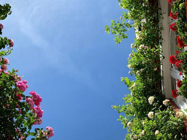 Georgiana's Guesthouse : photo 10 de la chambre chambre double avec salle de bains privative